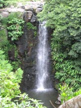 Photo waterfall in the Azores, language immersion program here
