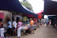 Photo from Spanish Language Immersion Tour  in Mexico - Market 